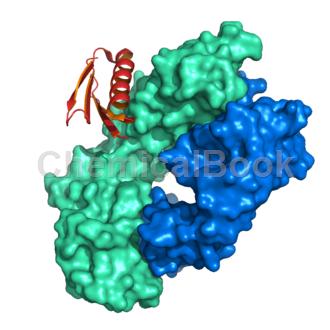 Recombinant Protein L, His-tag