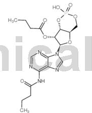 二丁酰环磷腺苷的说明书