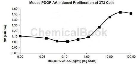 Recombinant Rat PDGF-AA的生理作用