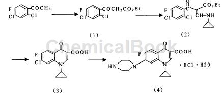 环丙沙星盐酸盐的说明书