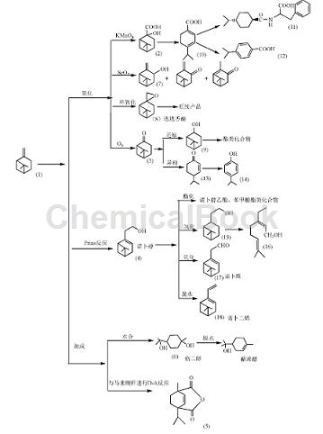β-蒎烯的应用和制备