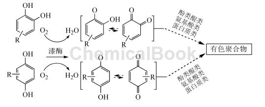漆酶的催化氧化机理及其在化工领域的应用