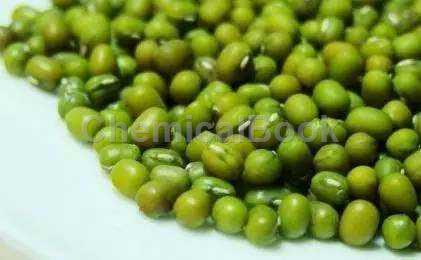 绿豆蛋白的功能特性