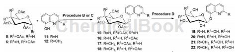 8-羟基喹啉基-Β-D-吡喃葡萄糖苷的制备方法