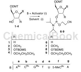 Bz-5-ME-2'-脱氧胞苷亚磷酰胺单体的制备
