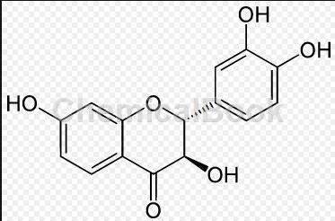 黄颜木素的性质与应用