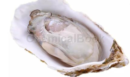 牡蛎肽与改善男性生理功能障碍和改善前列腺功能