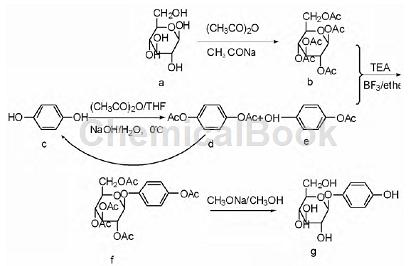 β-熊果苷的制备方法
