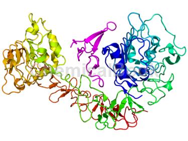 Phospho-EGFR (Tyr1068) Rabbit Monoclonal Antibody