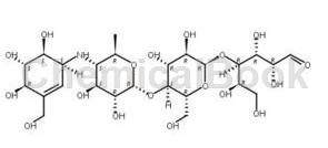 α-葡糖苷酶的作用