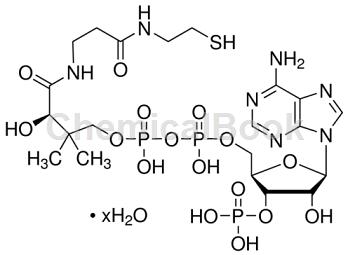 辅酶A水合物(CoenzymeA hydrate)
