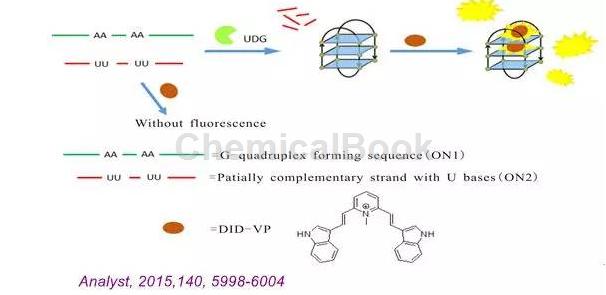 热敏UDG酶活性检测的常用策略