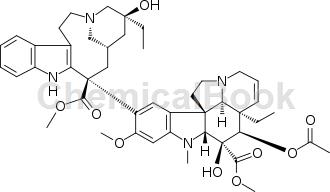 Vinblastine(Microtubule Assosiated抑制剂)