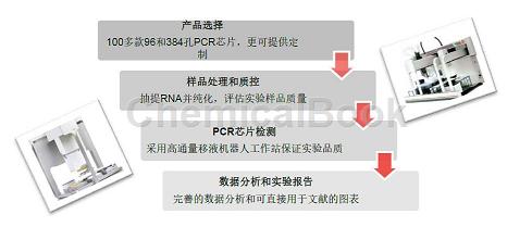 小鼠细胞自噬PCR芯片