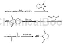 马来酰亚胺基聚乙二醇单甲醚的制备   