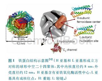 铁的结构示意图图片