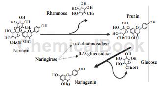柚苷酶的酶学性质及用途