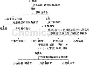 丹皮酚新苷的作用