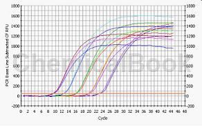 荧光定量PCR分析服务