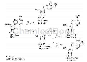 6-苄基腺苷的制备方法