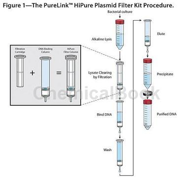 PureLink Pro 96 Genomic DNA Purification Kit