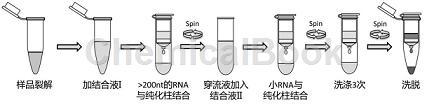 PureLink RNA小量试剂盒的应用