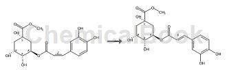 3-咖啡酰奎尼酸甲酯的制备方法