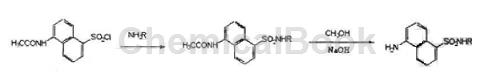 5-乙酰氨基萘-1-磺酰氯的制备