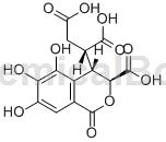 诃子次酸的应用