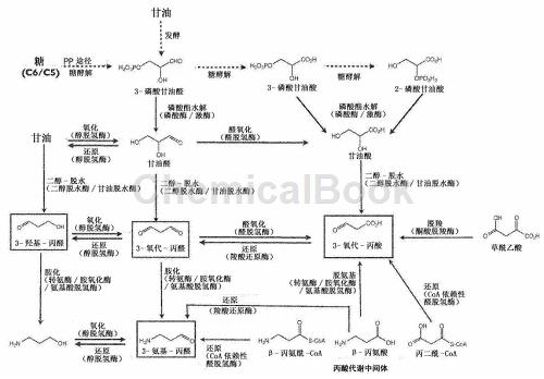 丙醛酸的应用