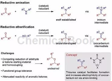 硫脲与Bronsted酸共催化的还原醚化反应