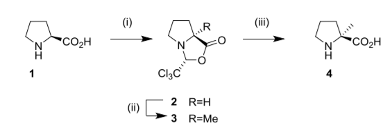  (S)-2-甲基脯氨酸盐酸盐的合成路线