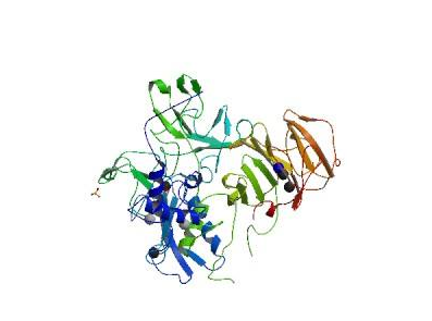 人基质金属蛋白酶7(MMP-7)ELISA KIT的应用
