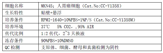 MKN-45人胃癌细胞说明及培养