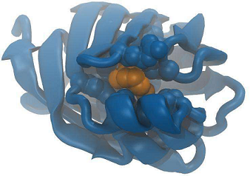 人视黄醇结合蛋白4(RBP-4)ELISA KIT的主要应用