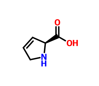 3，4-脱氢-L-脯氨酸的制备