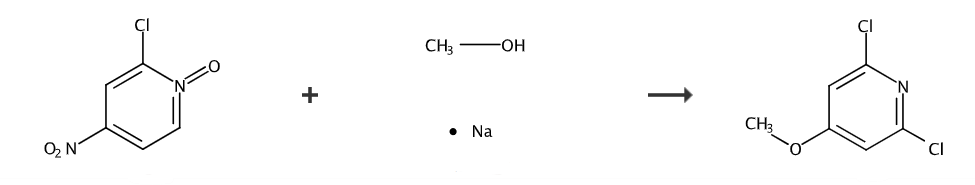 2,6-二氯-4-甲氧基吡啶的制备