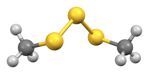 二甲基三硫醚的制备和检测方法