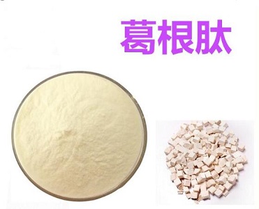 葛根肽的应用
