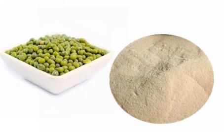 绿豆肽的应用及制备
