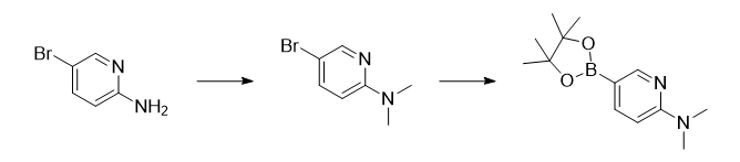 2-(二甲基氨基)吡啶-5-硼酸频哪酯的制备