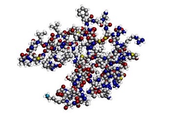 人生长激素释放因子(GH-RF)ELISA试剂盒的应用