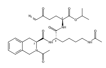 N-FMOC-L-1,2,3,4-四羟基异喹啉-3-甲酸的应用