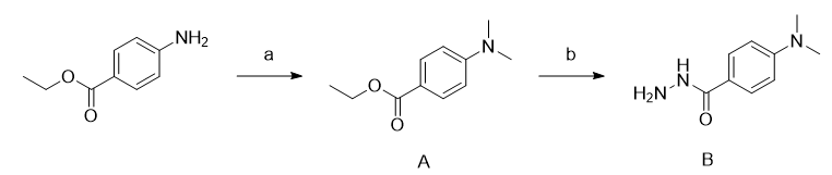 对二甲氨基苯甲酰肼的制备和应用