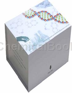 人髓过氧化物酶特异性抗中性粒细胞胞质抗体IGG(MPO-ANCA IGG)ELISA试剂盒的实验原理