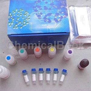 小鼠磷脂酰丝氨酸(PS)ELISA试剂盒的技术原理