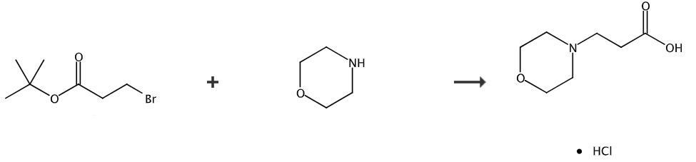 3-(吗啉-4-基)丙酸盐酸盐的制备