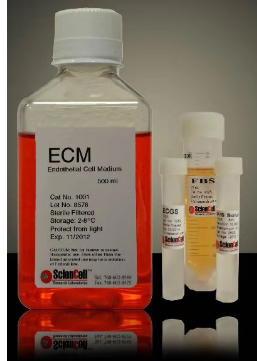 内皮细胞培养基ECM的制备