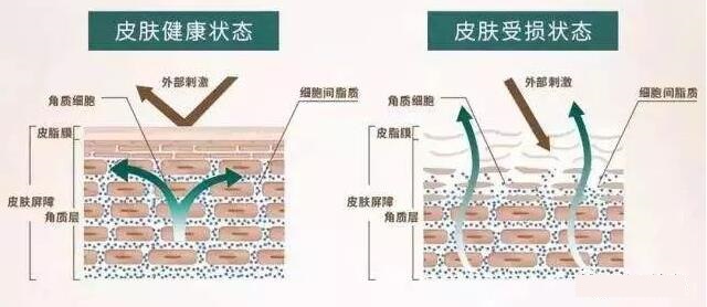 葡聚糖是什么？ 有什么作用吗？ 