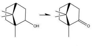 每日一油化学篇：酮类-樟脑
